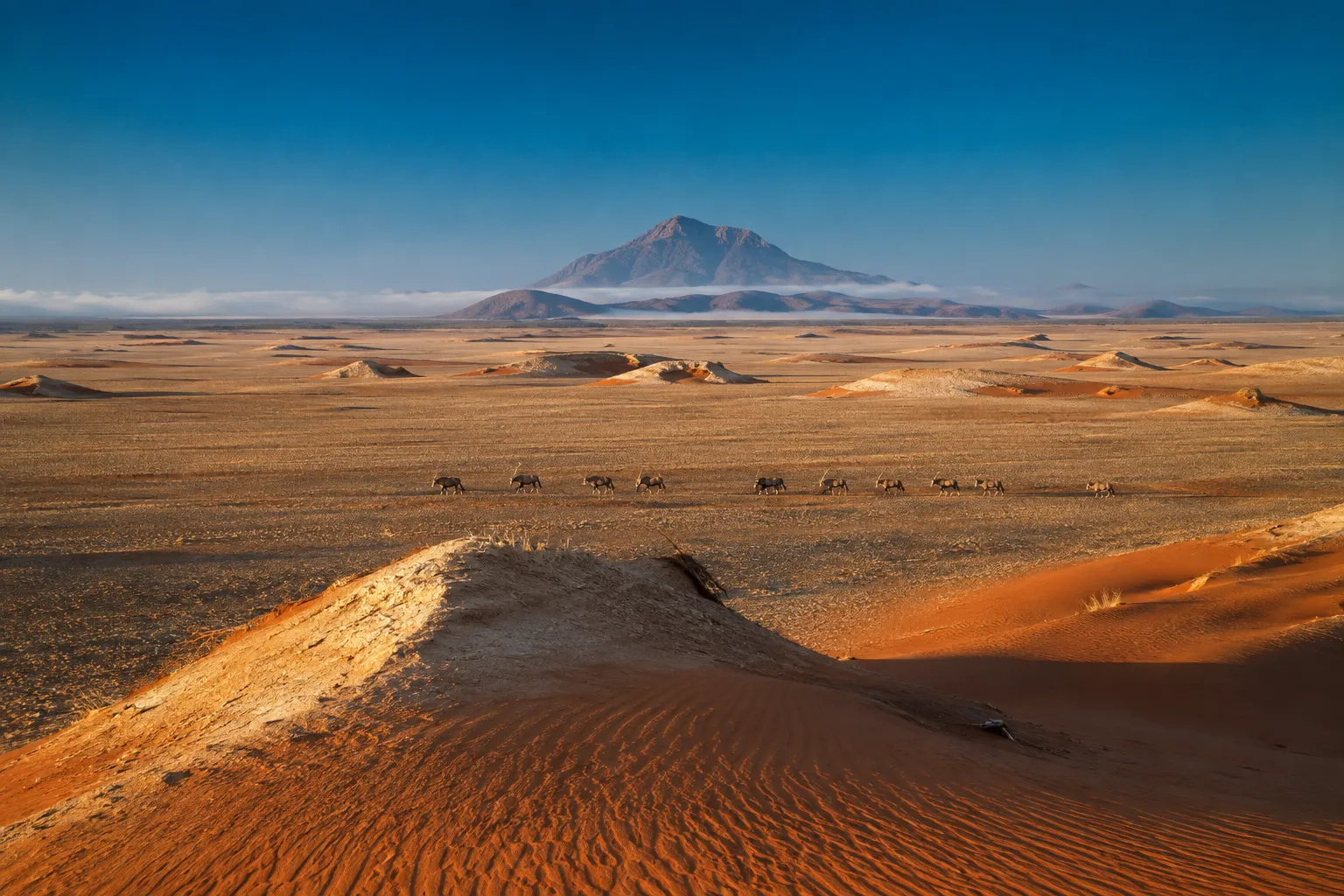 Red dunes meeting gravel plains in the northern Namib desert of south-west Angola at golden hour