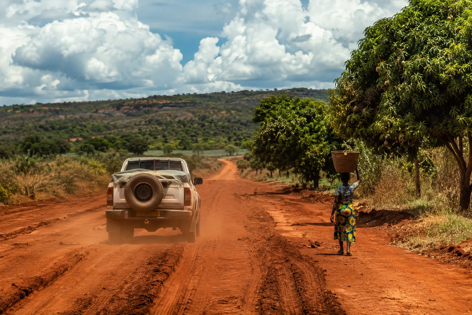 A red dirt road through Zaire province in northern Angola with mango trees along the verge